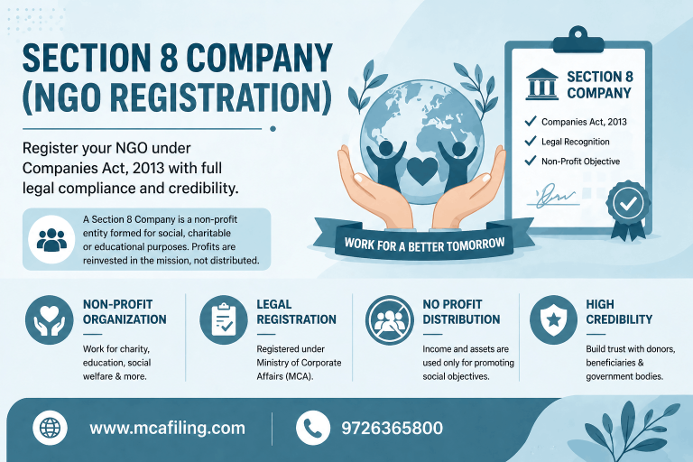 Section 8: Company Registration